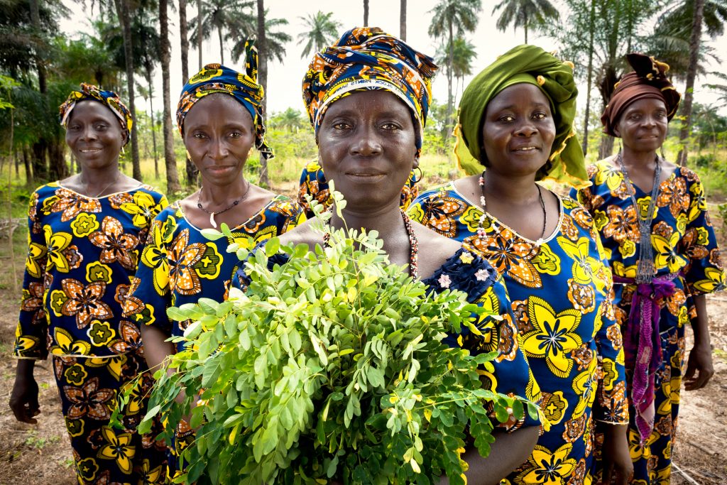 ECREEE UN Women Guinea