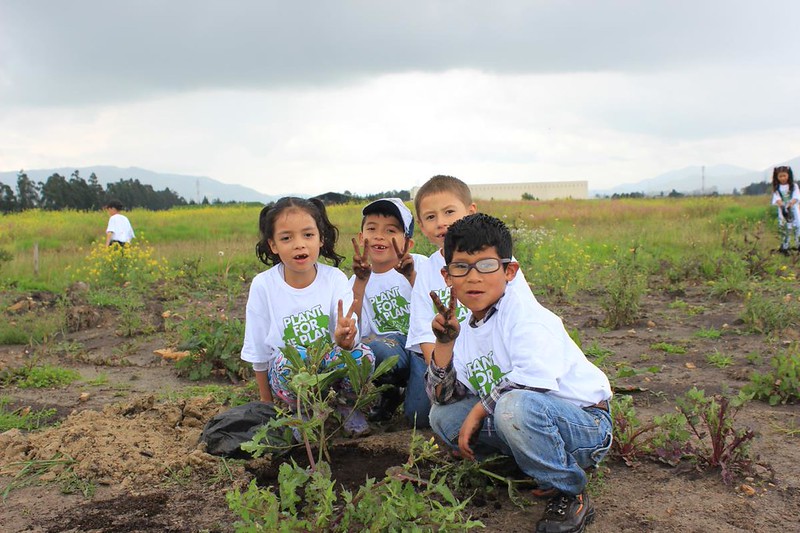 four children in a field planting trees